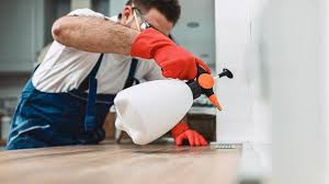 Best Residential Pest Control  in La Grange, IL